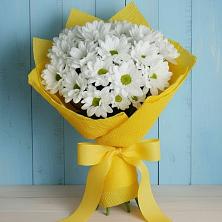 Букет цветов из:  Хризантемы в Пшичо