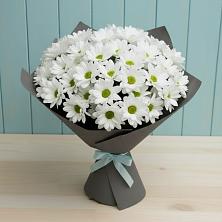 Букет цветов из:  Хризантемы в Пшичо