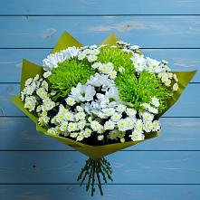 Букет цветов из:  Хризантемы в Пшичо