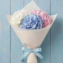 Букет цветов из:  Гортензия в Пшичо