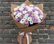 Букет цветов из:  Хризантемы в Пшичо