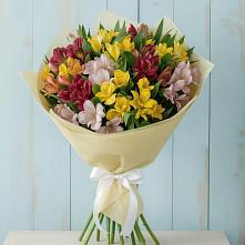 Букет цветов из:  Альстромерии в Пшичо