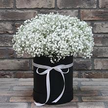 Цветочная композиция из Гипсофила в шляпной коробке #REPLACE_PRED# Пшичо