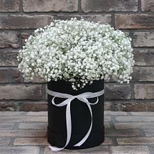 Цветочная композиция из Гипсофила в шляпной коробке в Пшичо