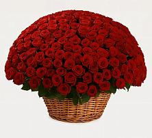 Премиум букет из: Розы в Пшичо