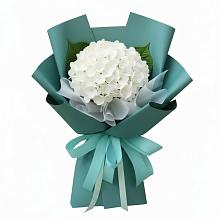 Букет цветов из:  Гортензия в Пшичо